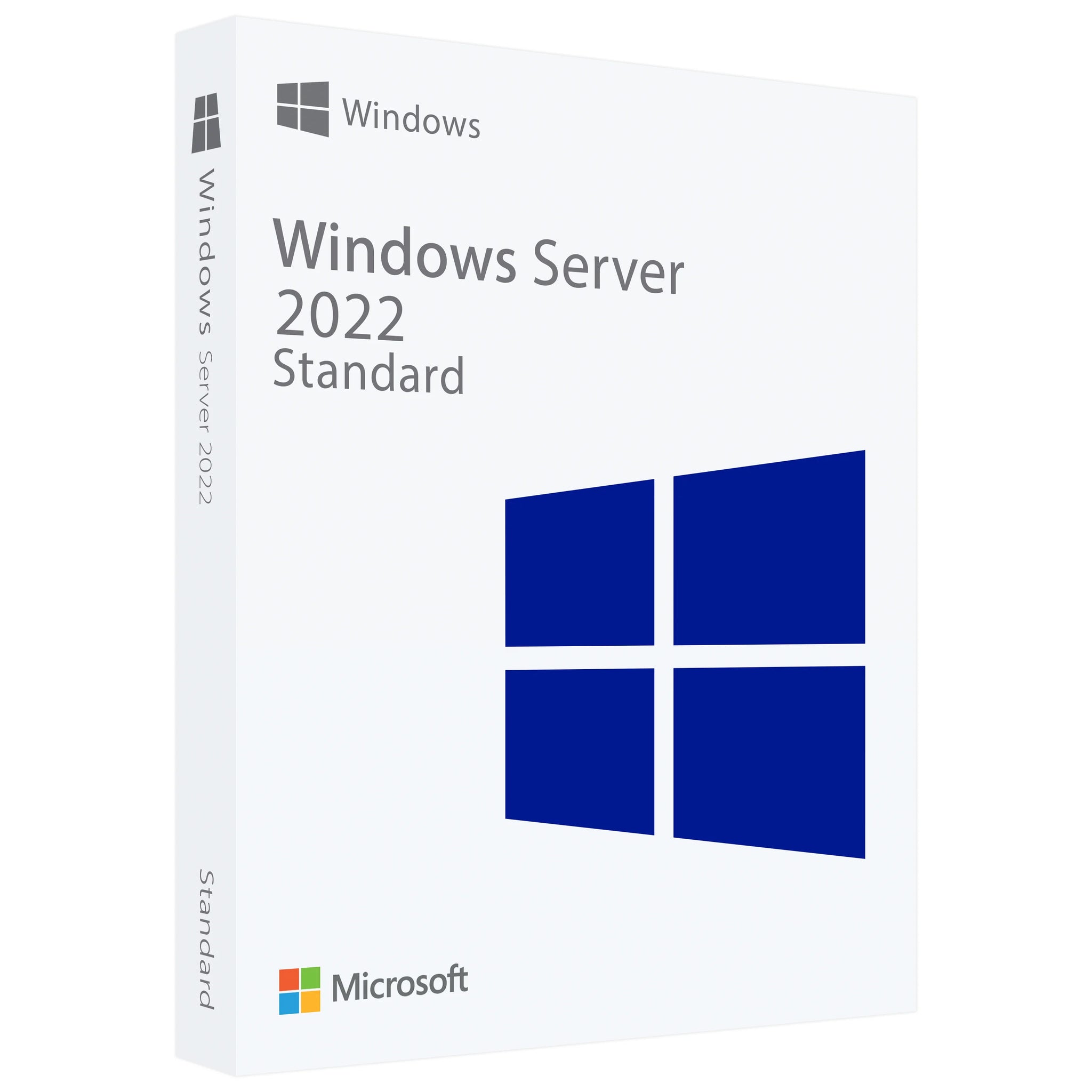 Microsoft Windows Server 2022 Standard - Lifetime License Key