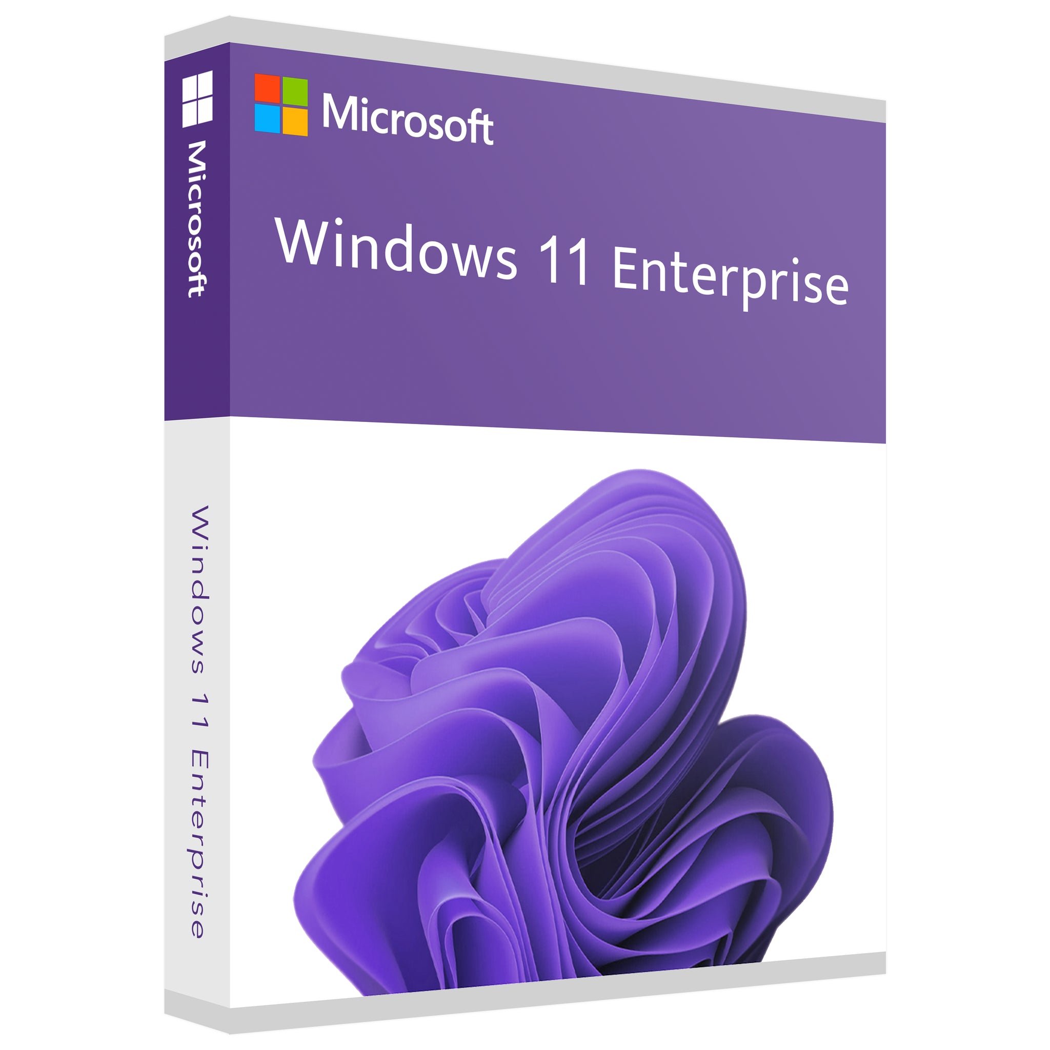 Microsoft Windows 11 Enterprise - Lifetime License Key for 1 PC