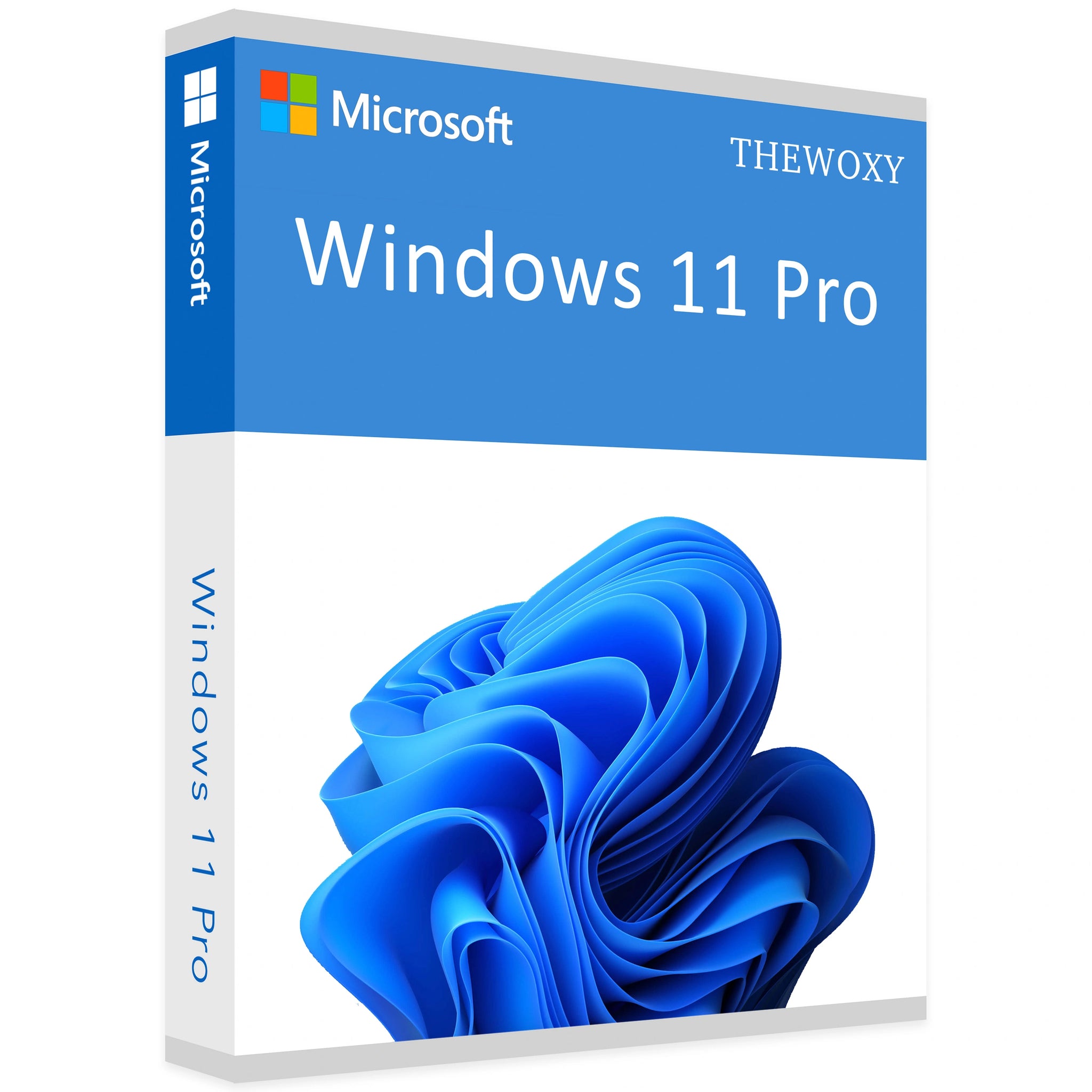 Microsoft Windows 11 Pro - Lifetime License Key for 1 PC